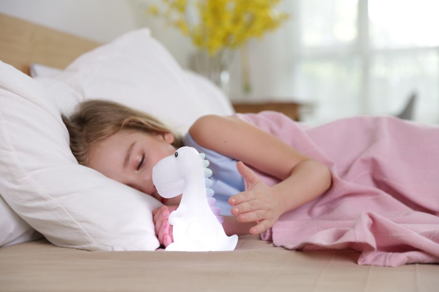 veilleuse dinosaure rechargeable dhink 