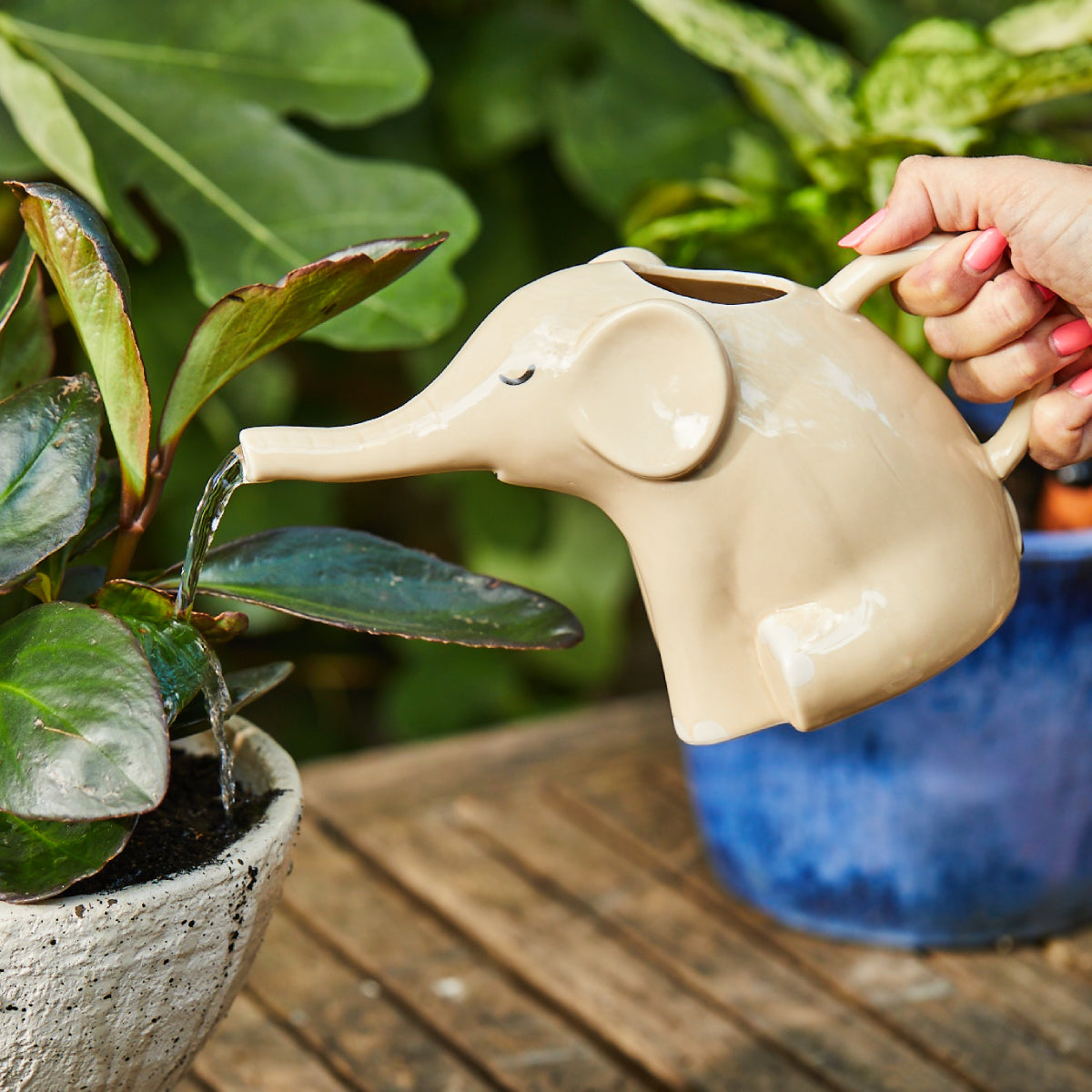 Gießkanne Elefant