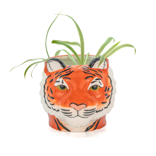 Pflanzgefäß "Tiger"