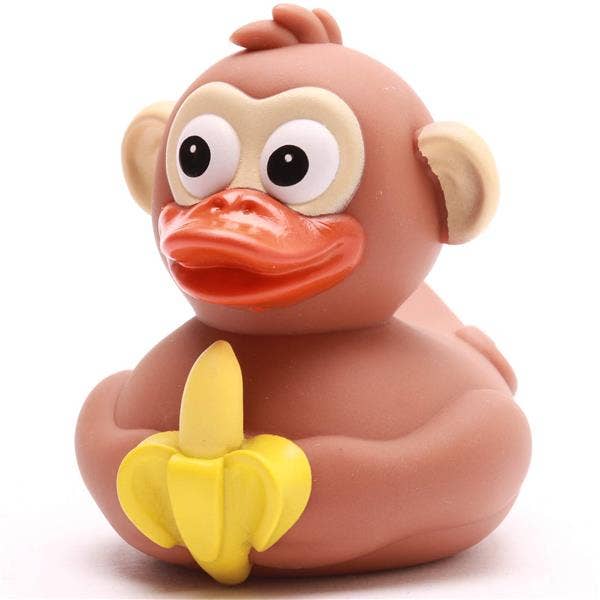 Canard Singe