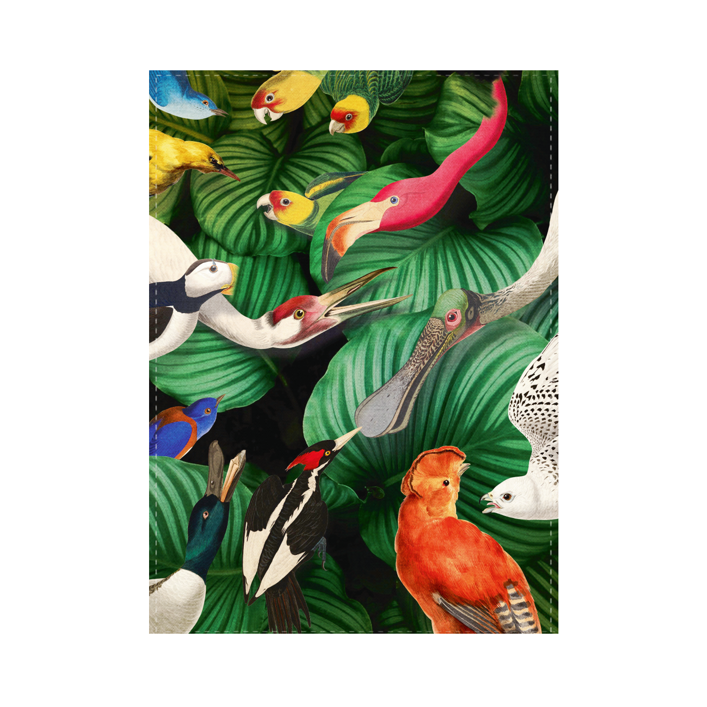 torchons teyler oiseaux museum edition HTTW000033 8719524029948