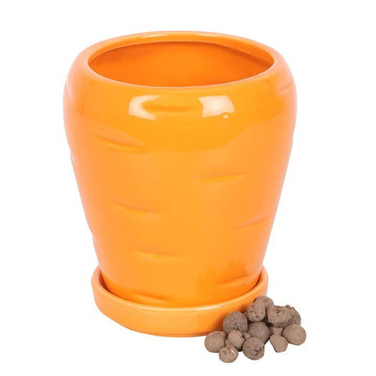 Pot de plante Carotte avec boules de graines de persil