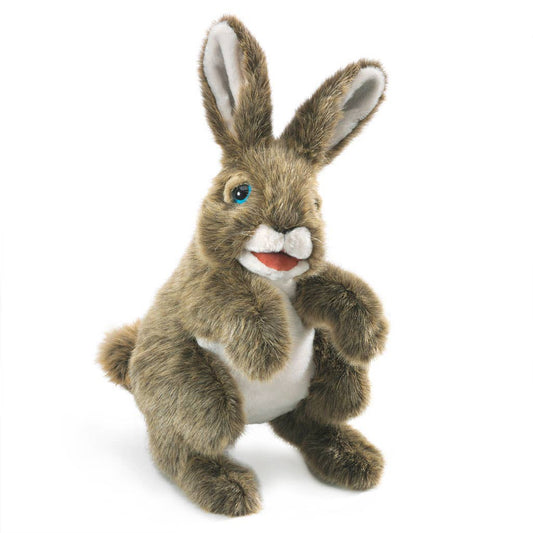 Marionnette à mano Hase3164/Lièvre Folkmanis realista