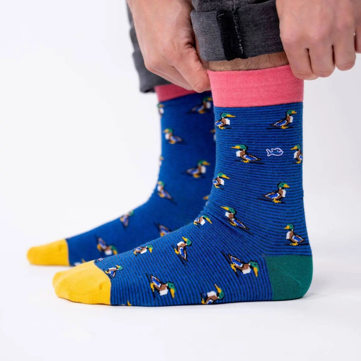 Chaussettes en coton peigné Canard Colvert BILLYBELT  CoinCaillerie