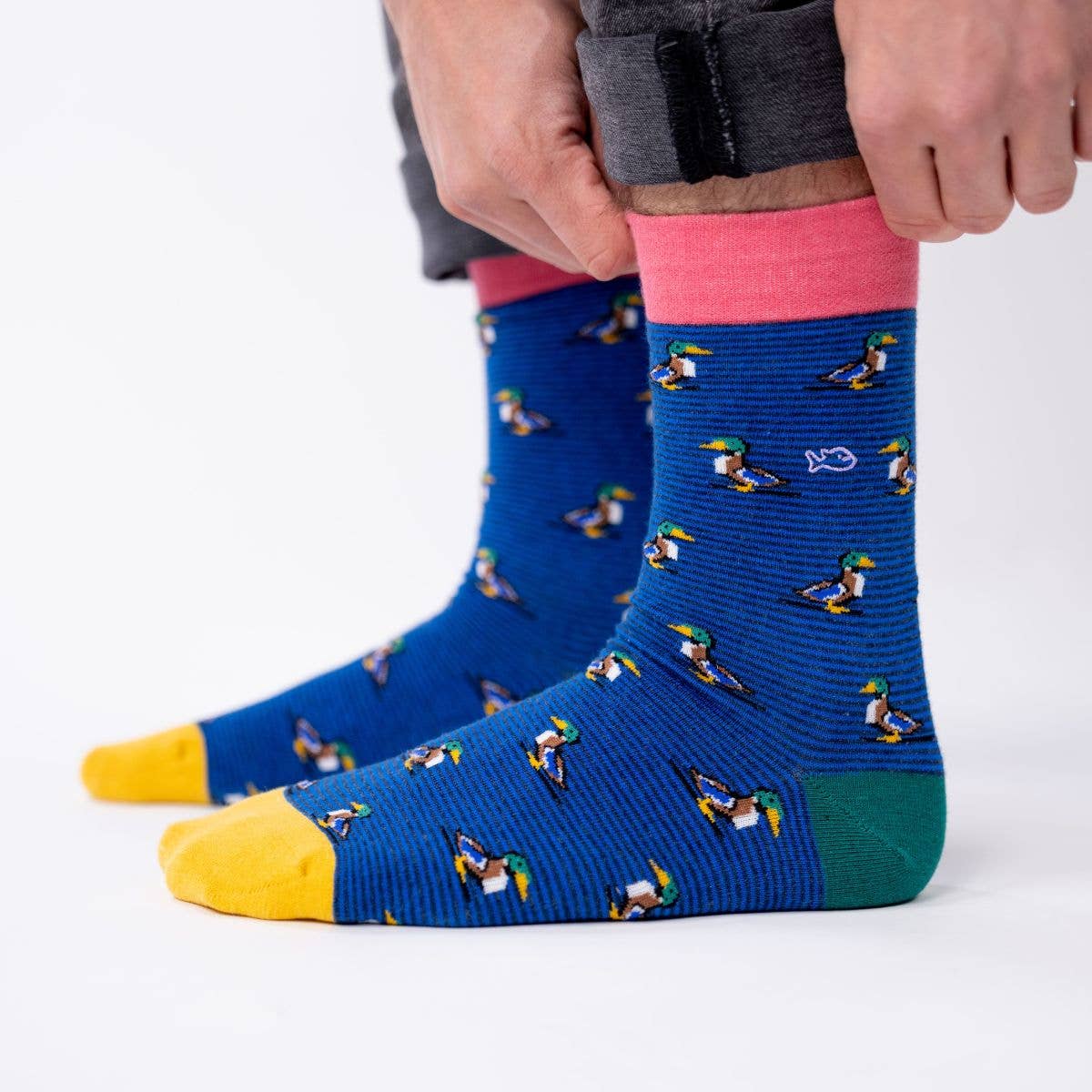 Chaussettes en coton peigné Canard Colvert BILLYBELT CoinCaillerie