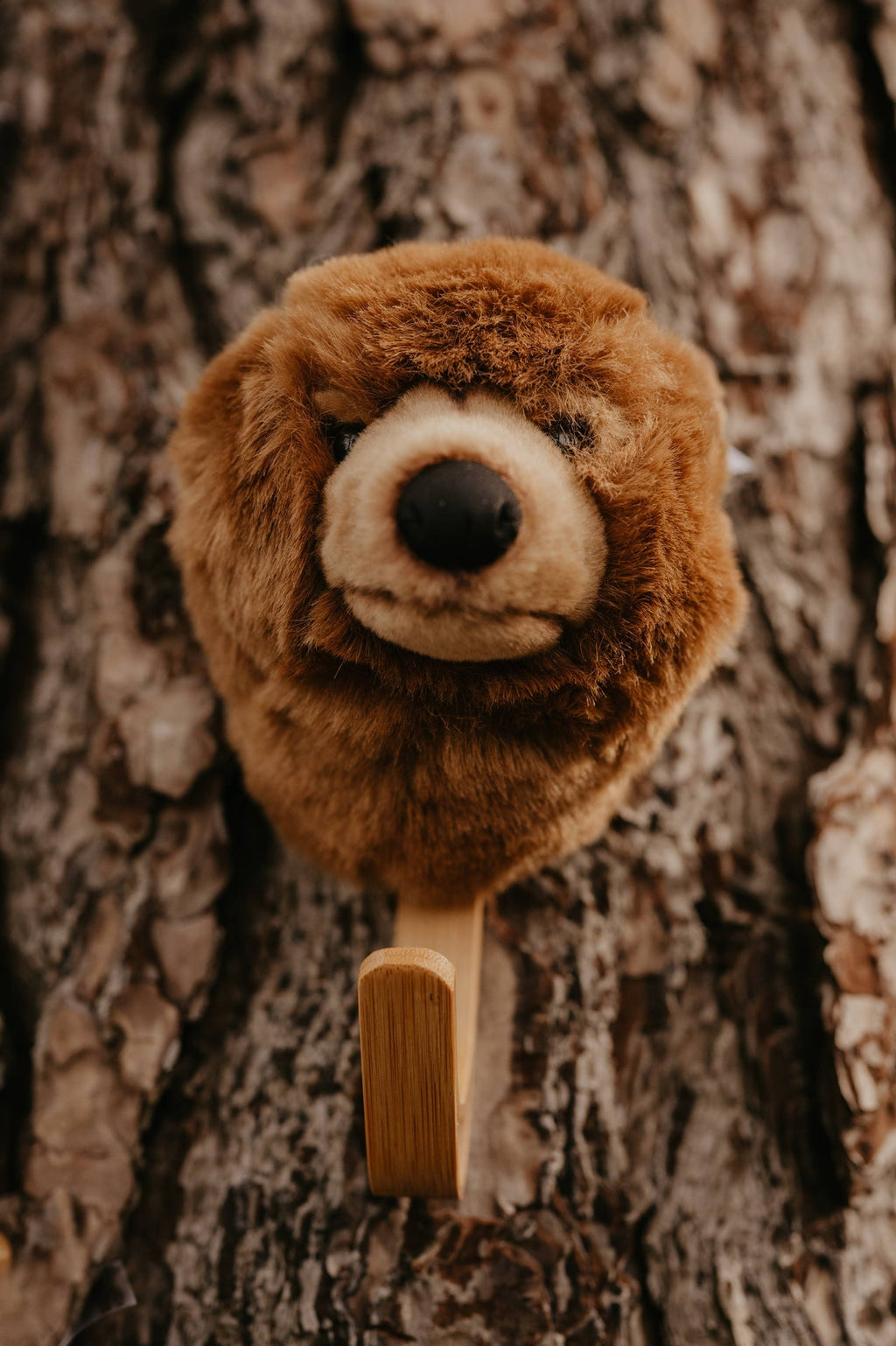 Porte-manteau Brown Bear - Wild & Soft