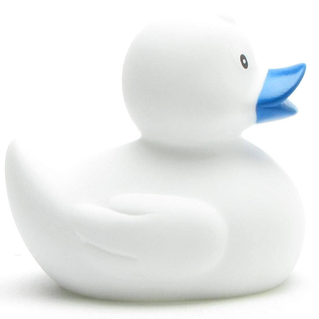 canard classique blanc 1