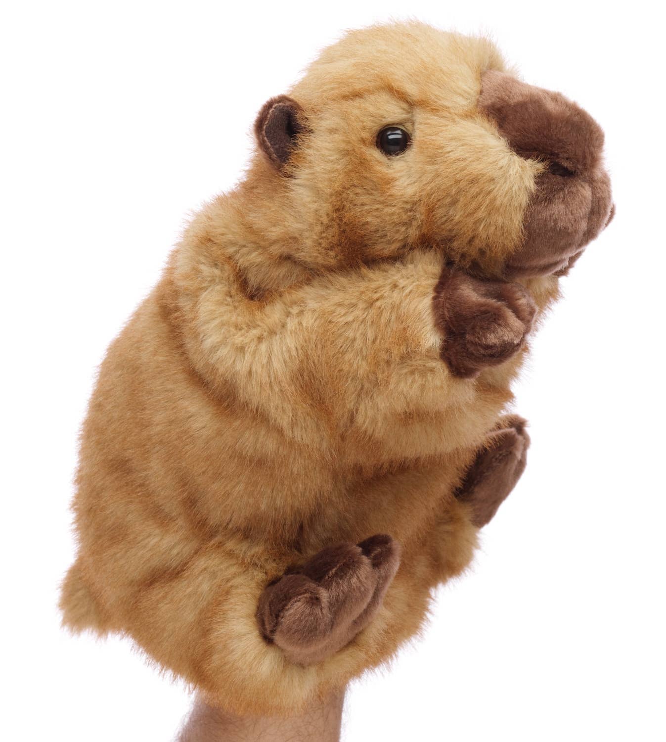 Marionnette à main Capybara Uni Toys
