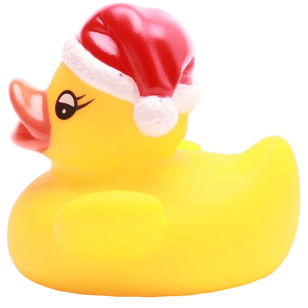Kleine Weihnachtsente