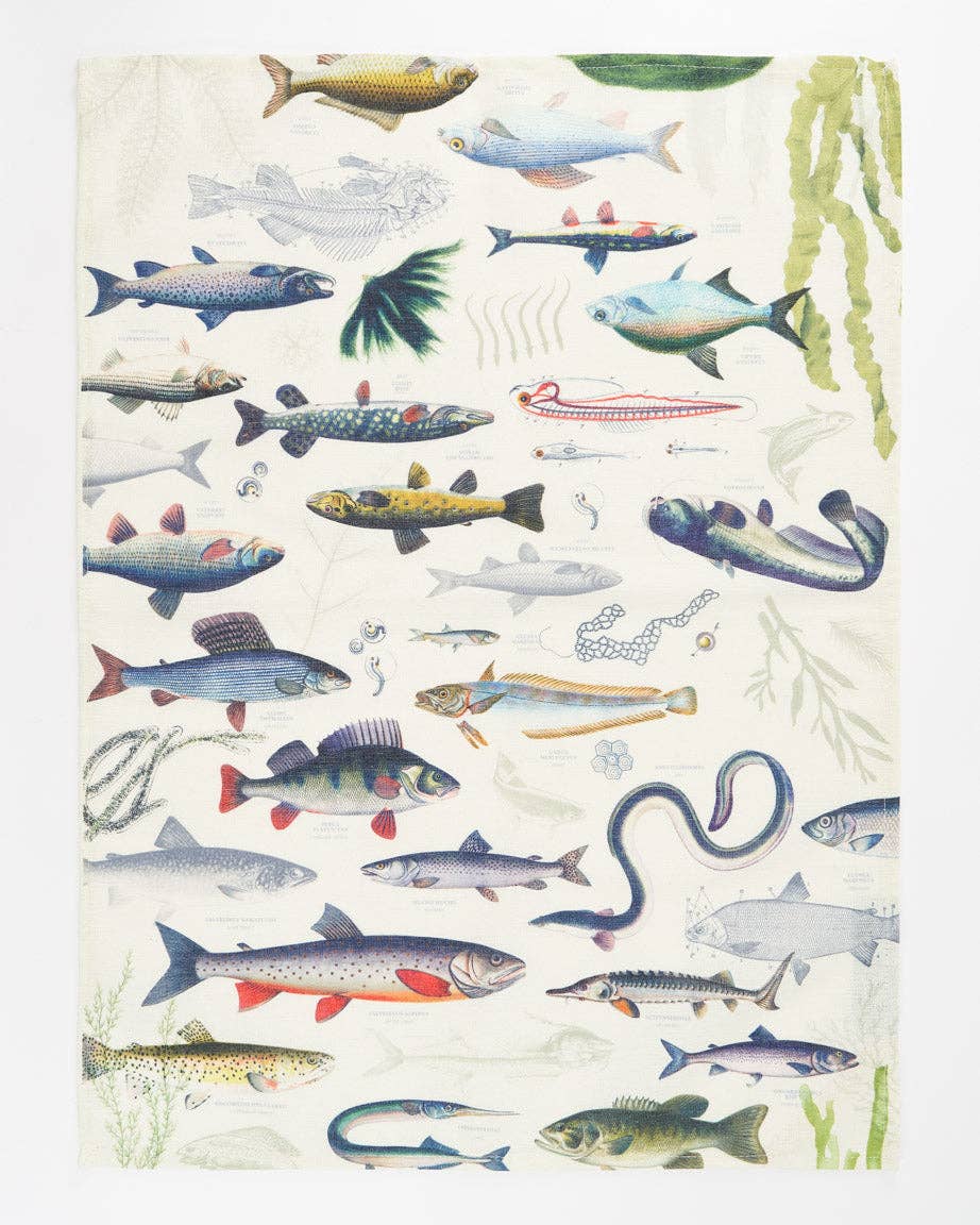 Torchon Poisson D'Eau Douce – produit scientifique Cognitive Surplus EU, vue 1
