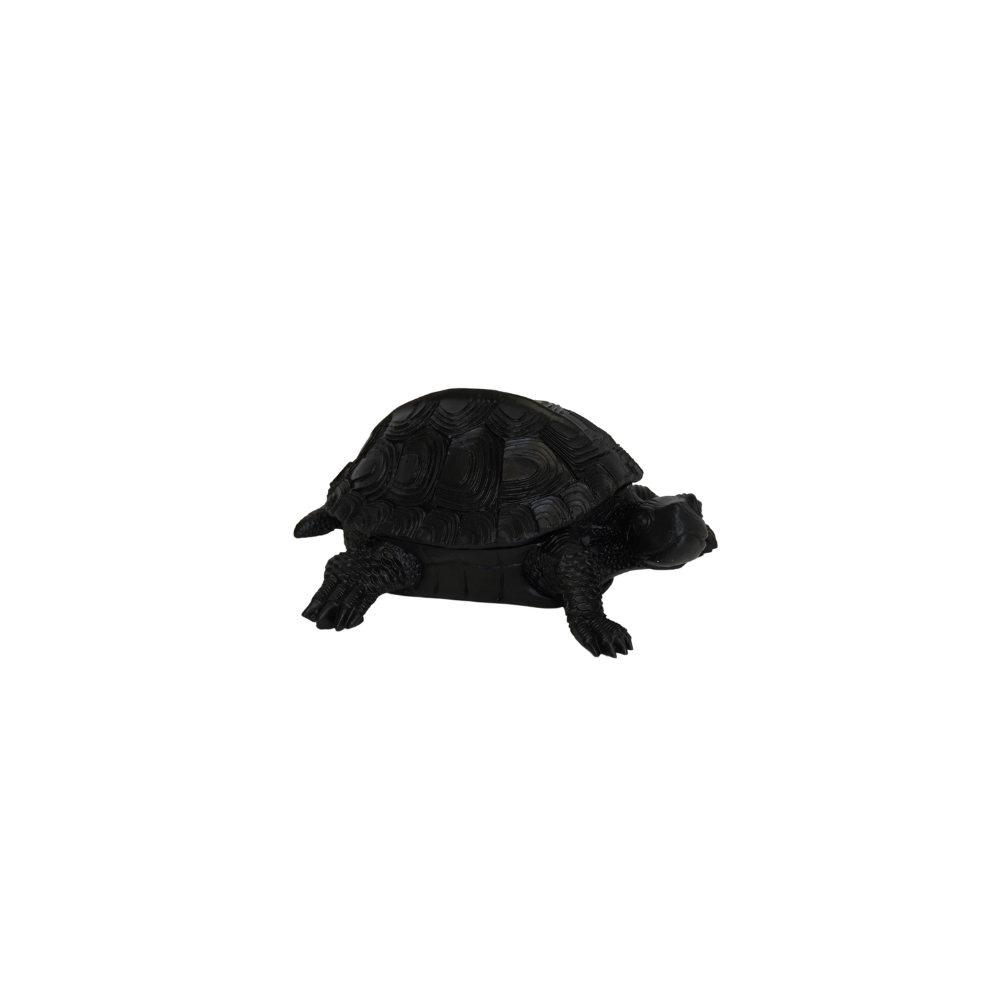 Turtle Box - Black