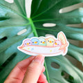 autocollant rainbow peapod duckies thousand skies VNST0163 13601100