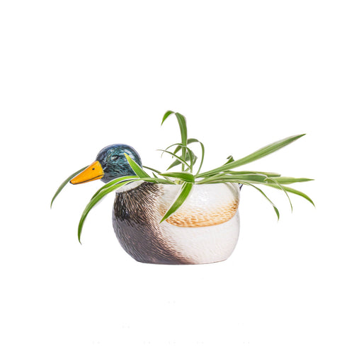 Mini Jardinière Canard Colvert