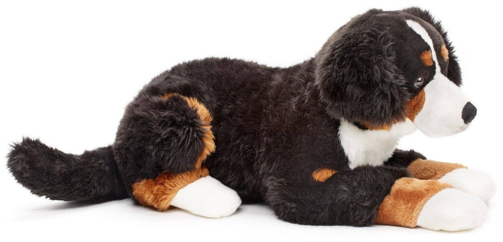Peluche bouvier bernois couché Uni Toys