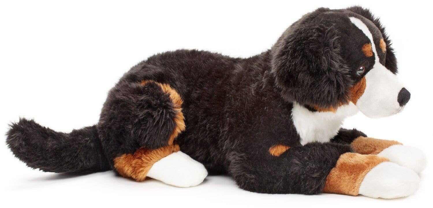 Peluche bouvier bernois couché Uni Toys