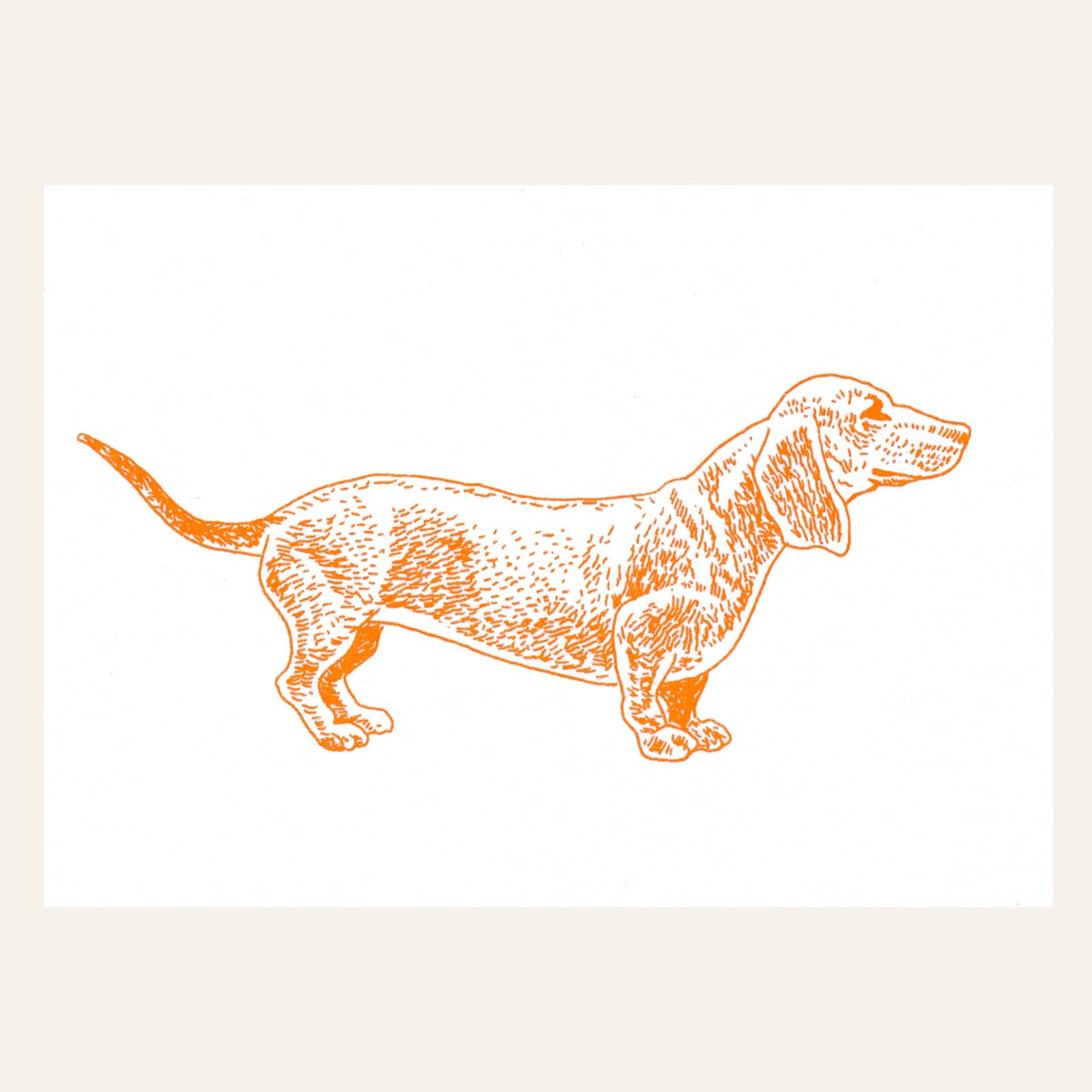 Carte postale Teckel Orange Néon