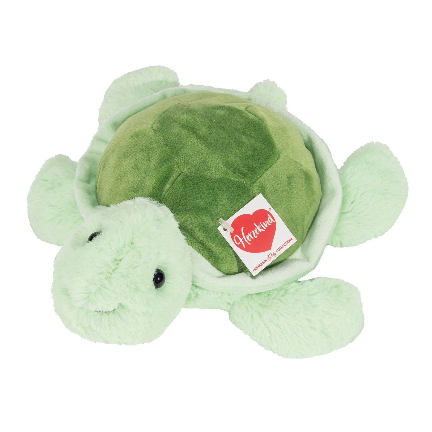 Peluche Tortue Sandy