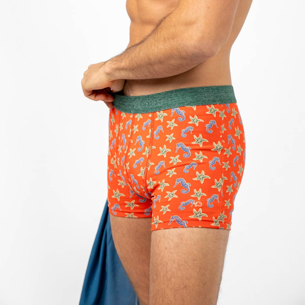 Boxer En Coton Biologique - Hippocampe