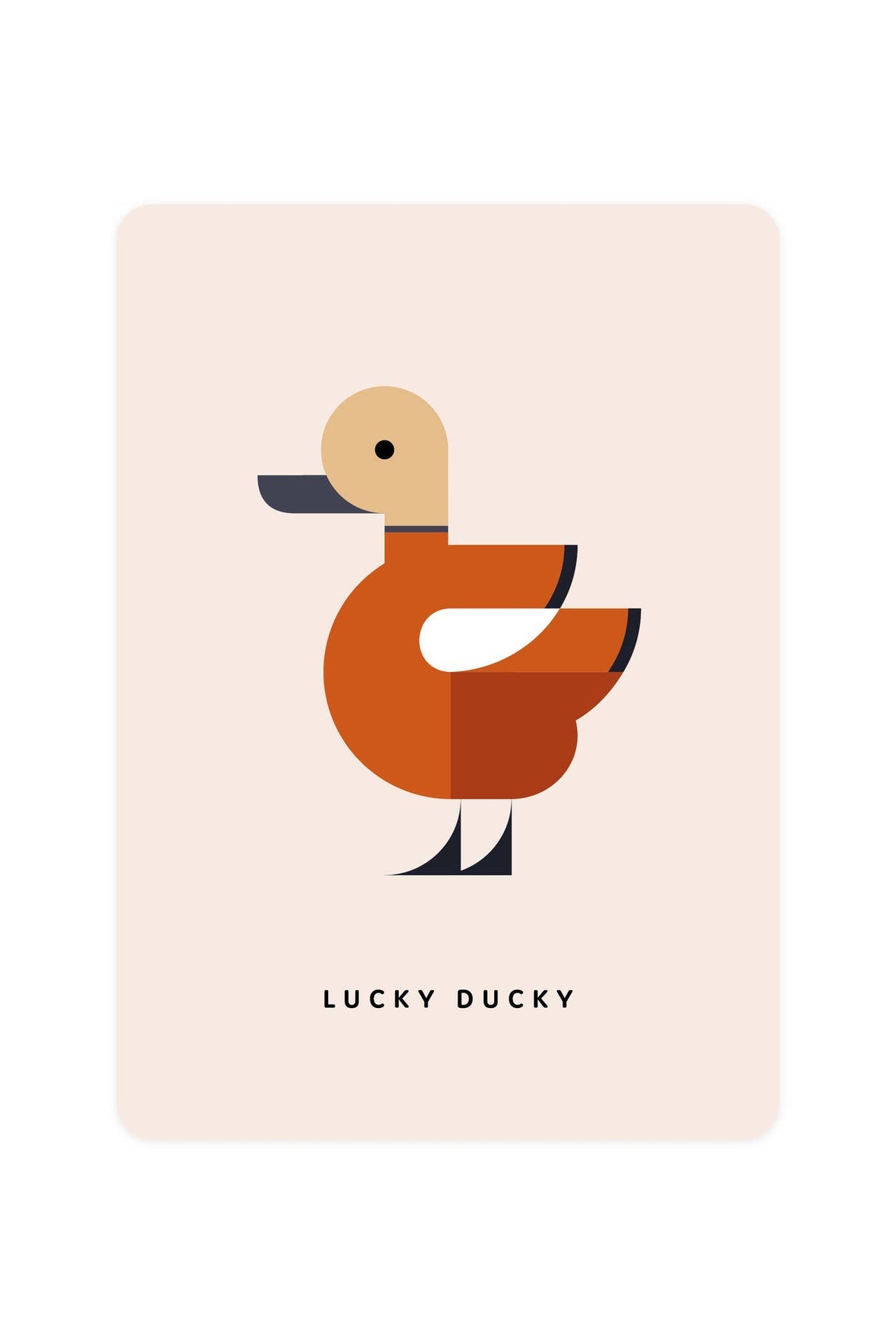 Postcard featuring Ruddy Shelduck