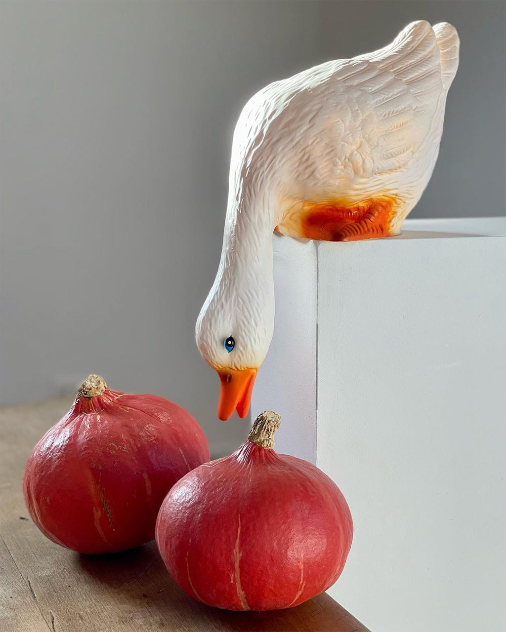 Lampe Canard regardant vers le bas