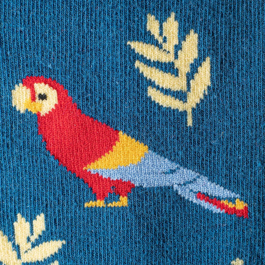 Chaussettes Perroquets « LOROS »