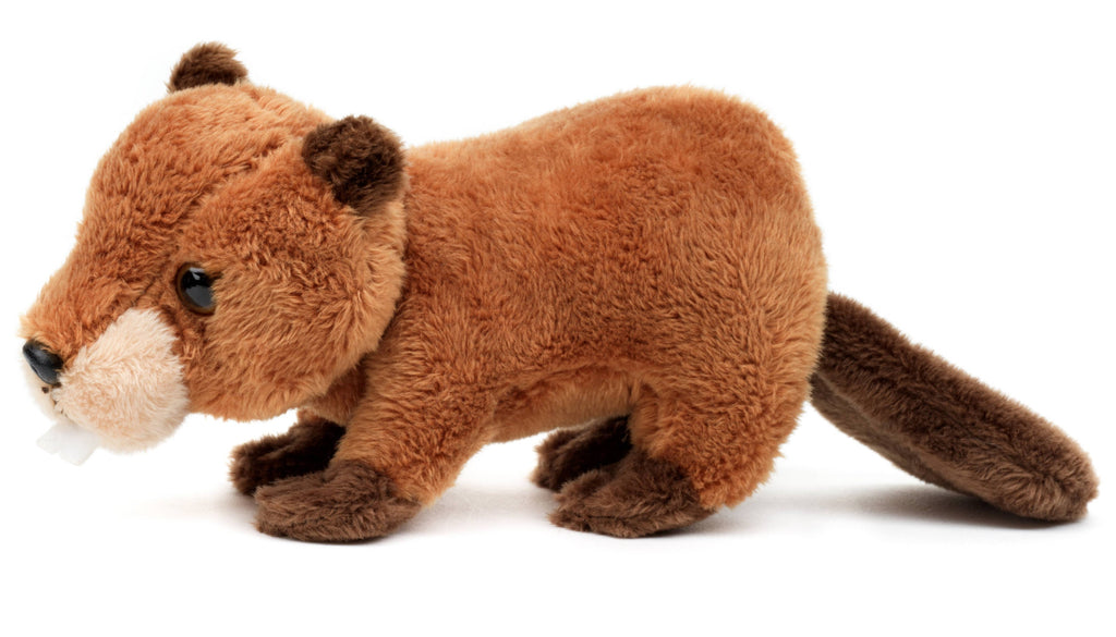 Peluche de castor Uni Toys