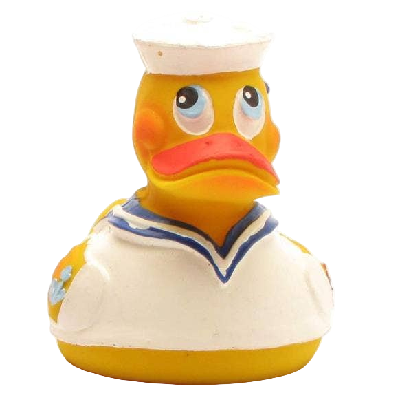 Canard Marin