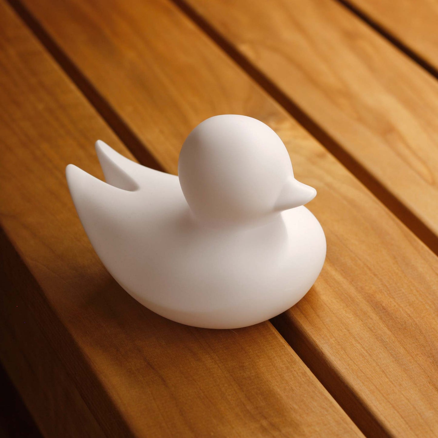 Canard Minimaliste
