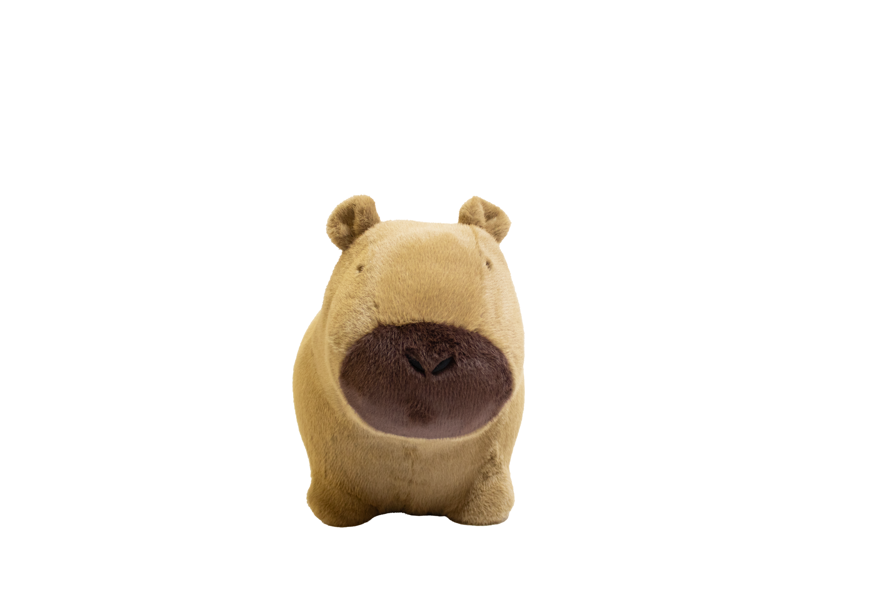 Capybara doux et rebondissant - Wild & Soft