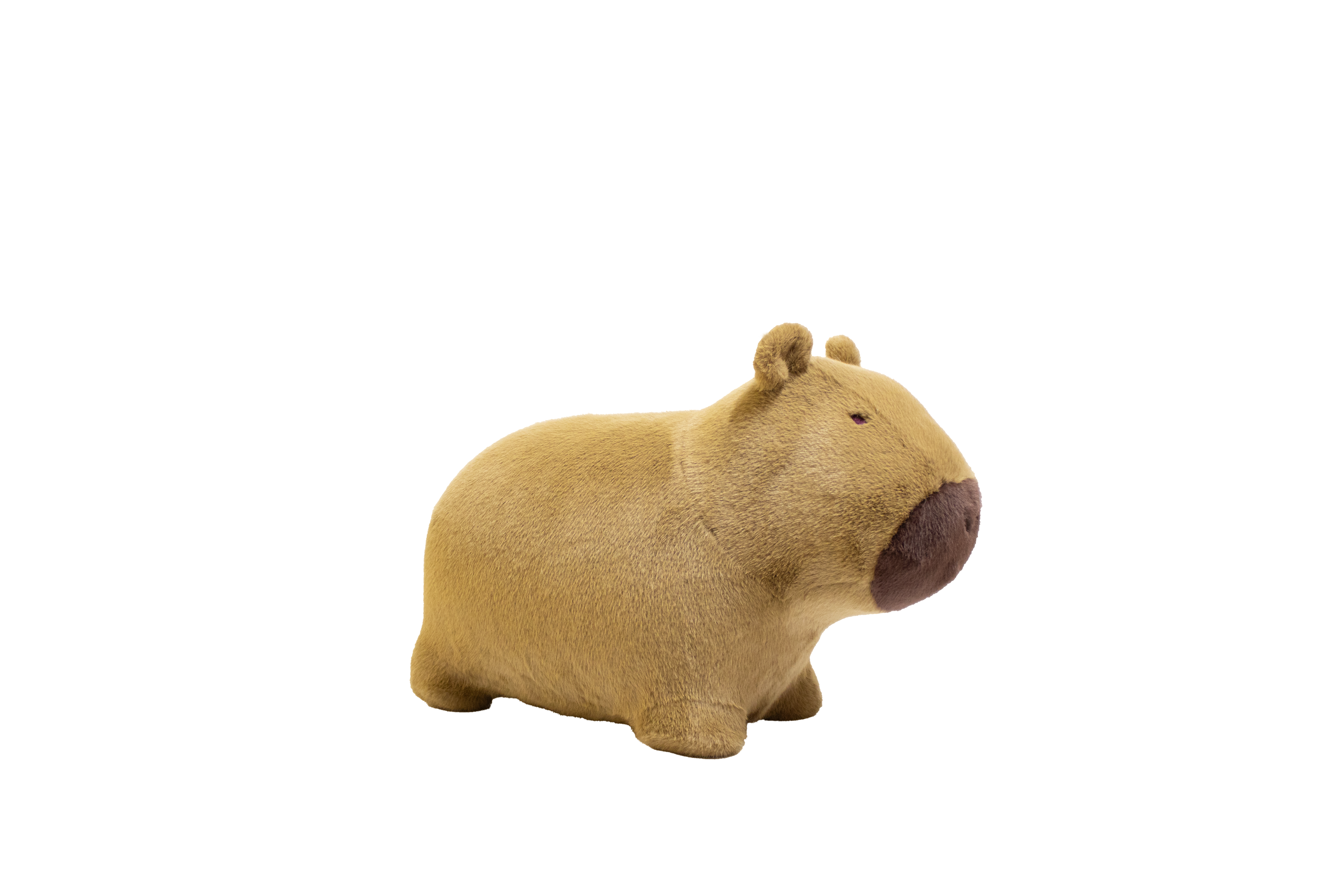 Capybara doux et rebondissant - Wild & Soft