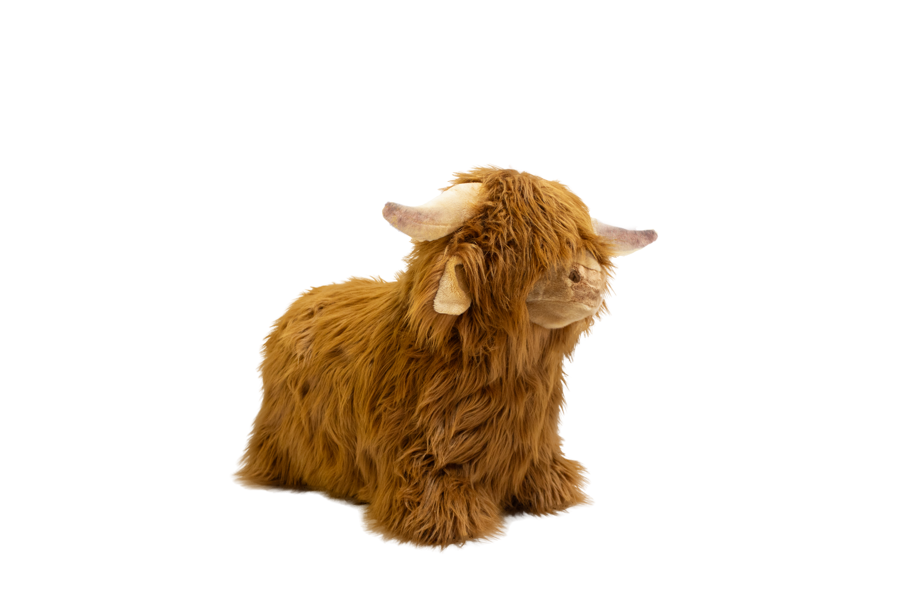 Vache Highland doux et rebondissant - Wild & Soft