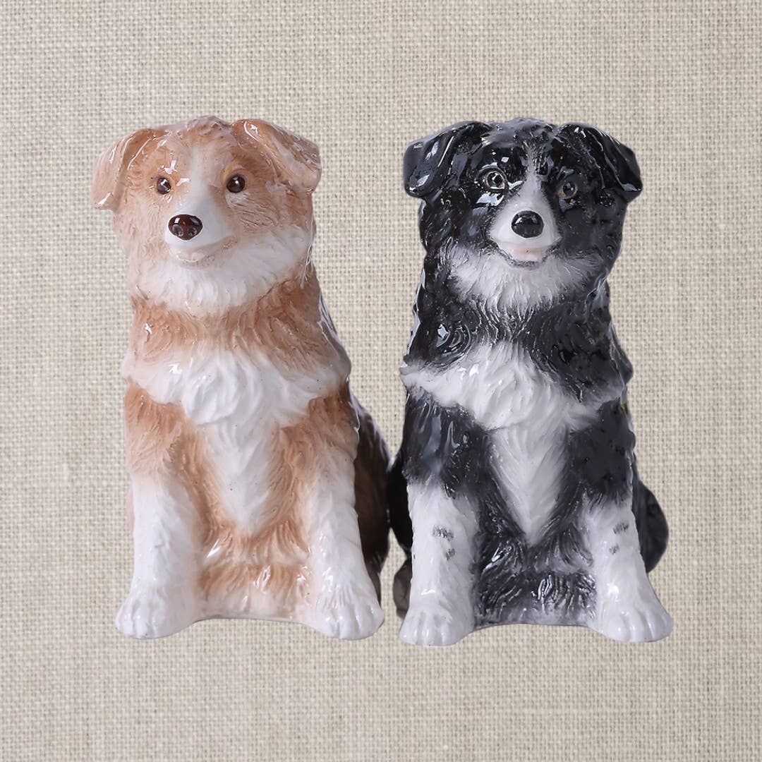 Sel et poivre Border Collies