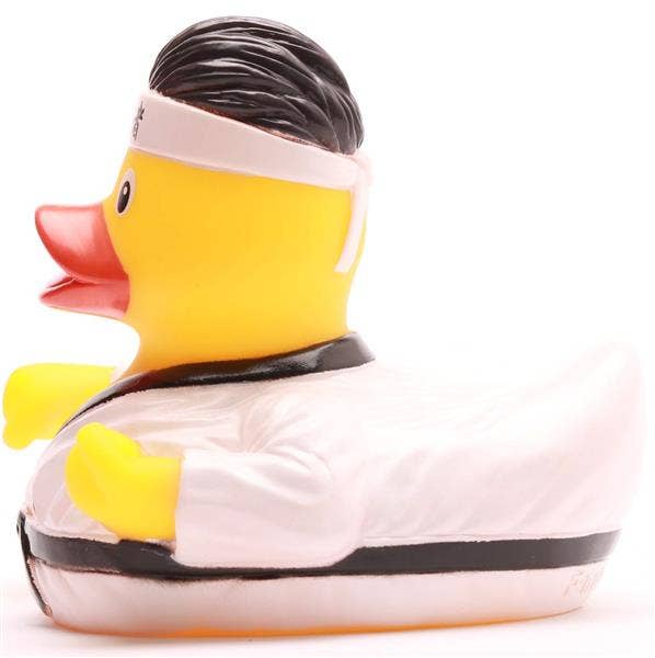 Canard Karaté
