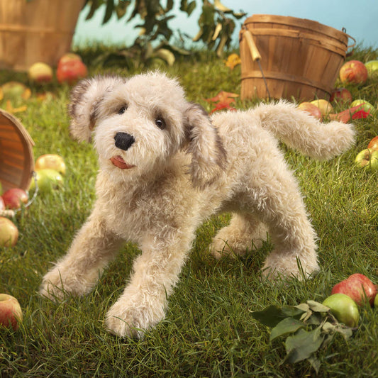 Marionnette à mano Labradoodle 3136 Folkmanis realista