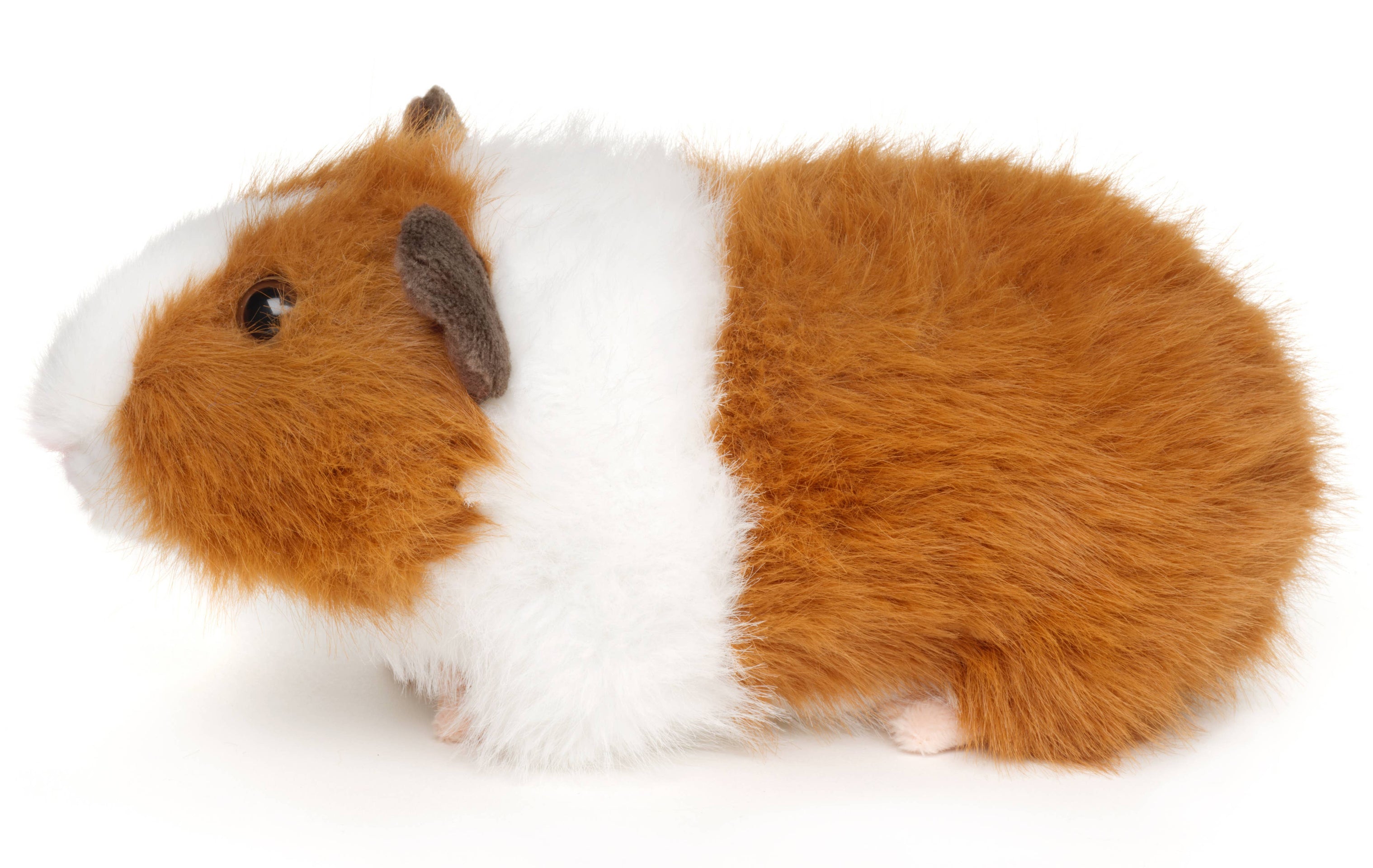 Peluche Cochon d'Inde (marron) Uni Toys