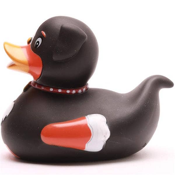 Ente Hund
