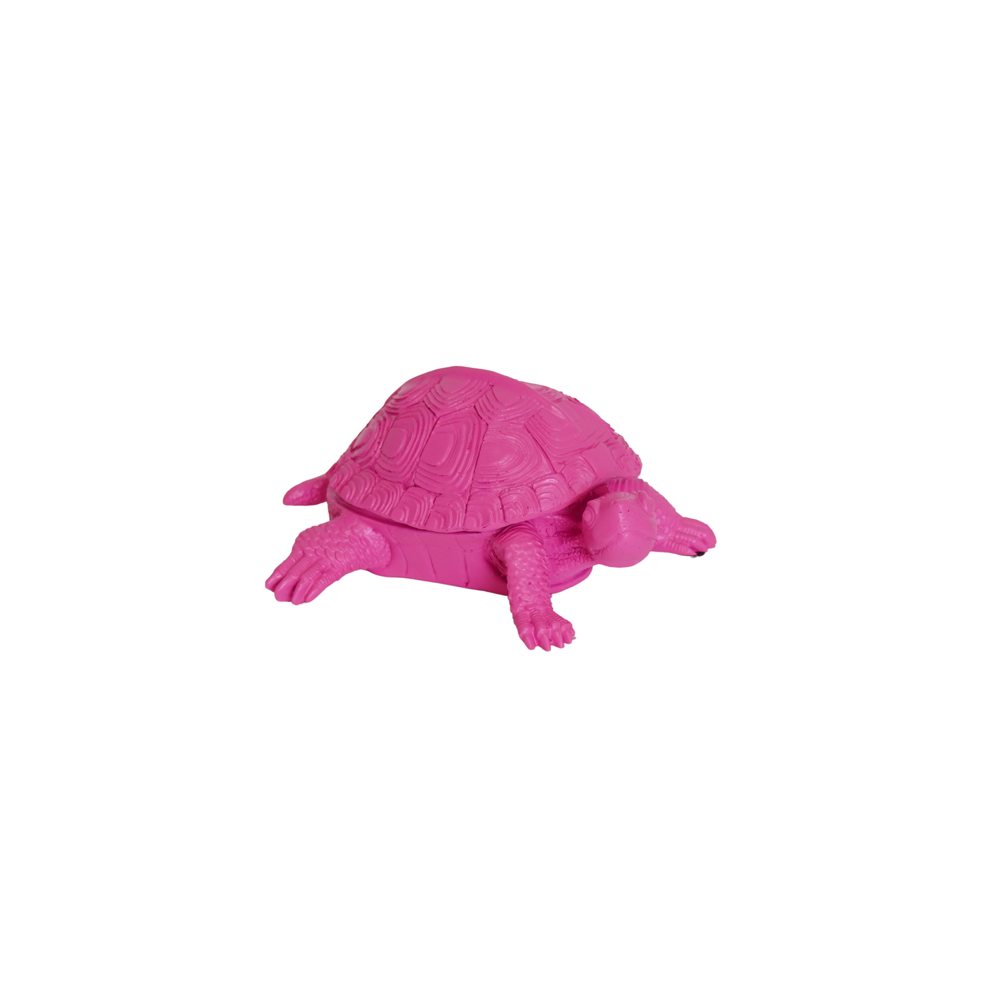 Turtle Box - Neon Pink