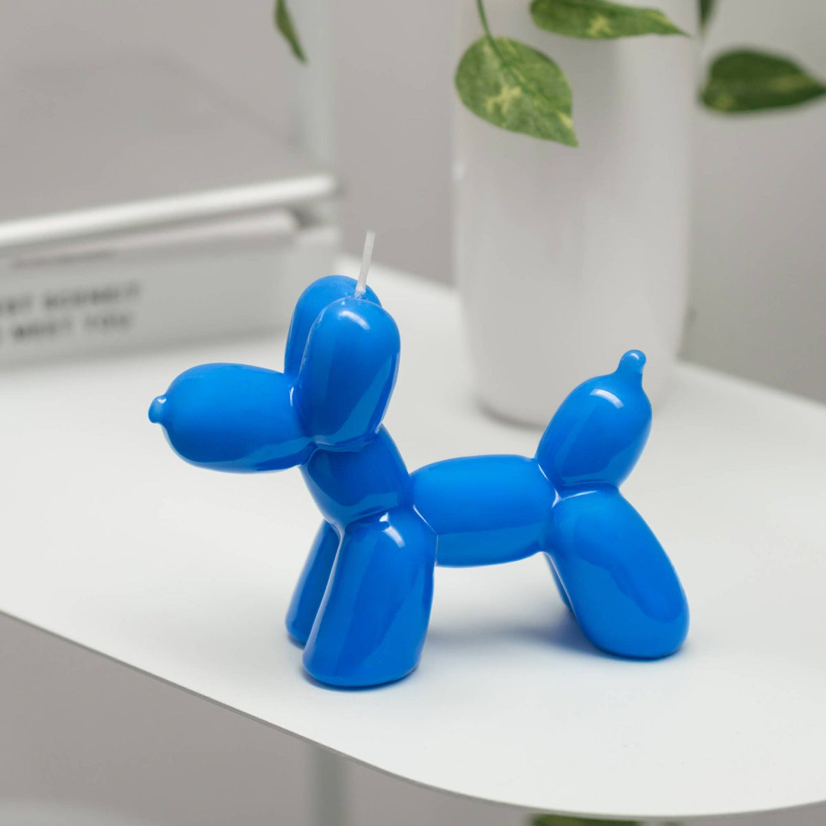 Perro Ballon Azul Électrique Bougie Helio Ferretti Vue 1