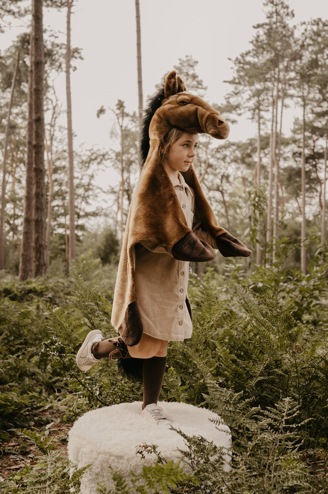 Déguisement Enfant Cheval Brun - Wild & Soft