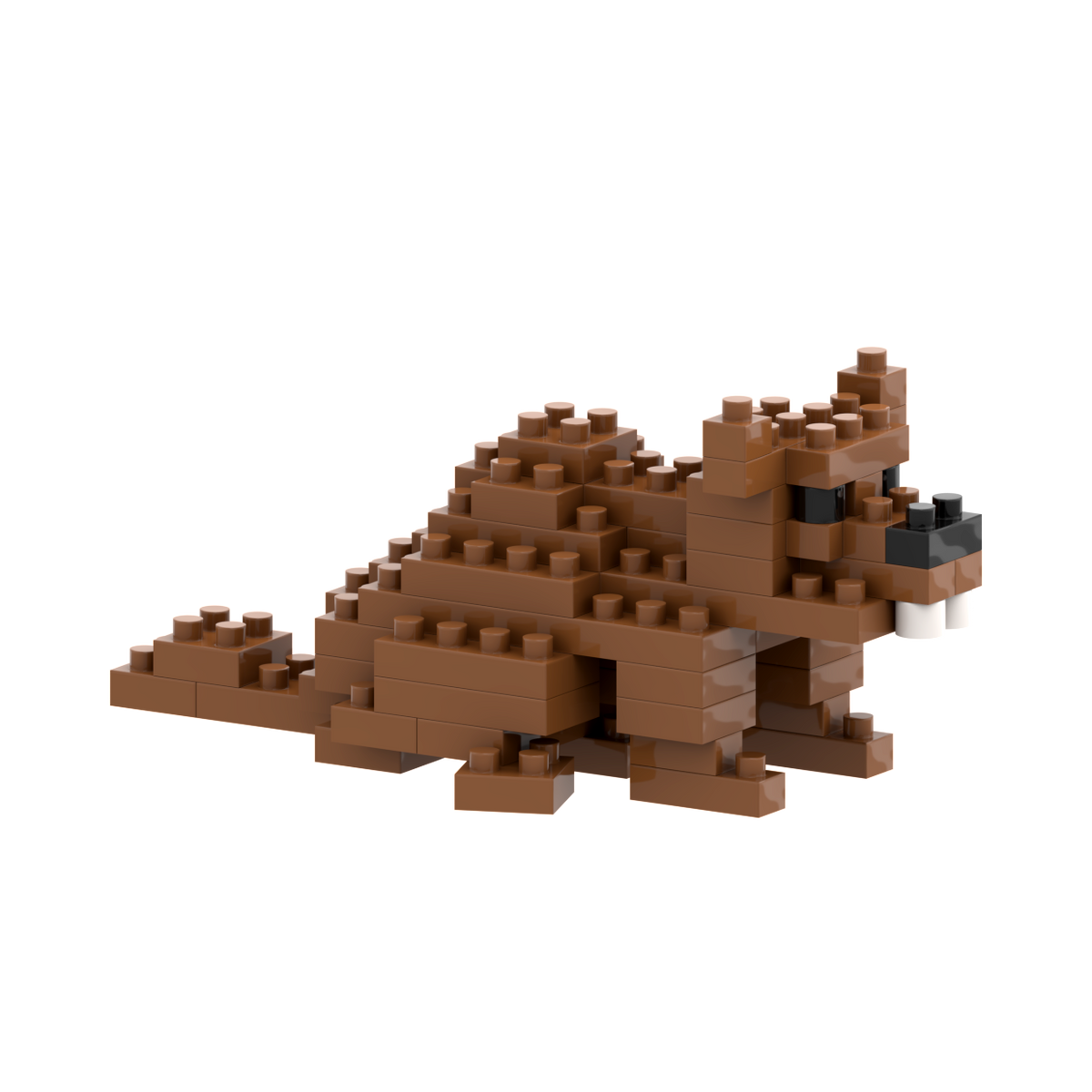 BRIXIES Castor