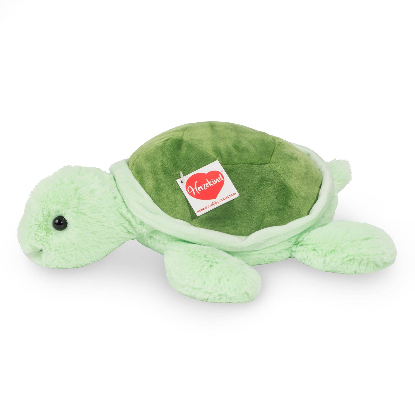 Peluche Tortue Sandy