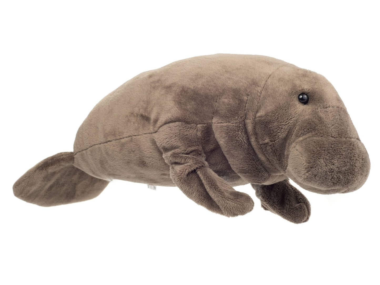 Peluche Lamantin
