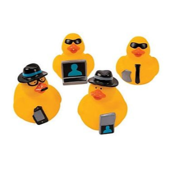 Mini Canards Espions LG Import CoinCaillerie