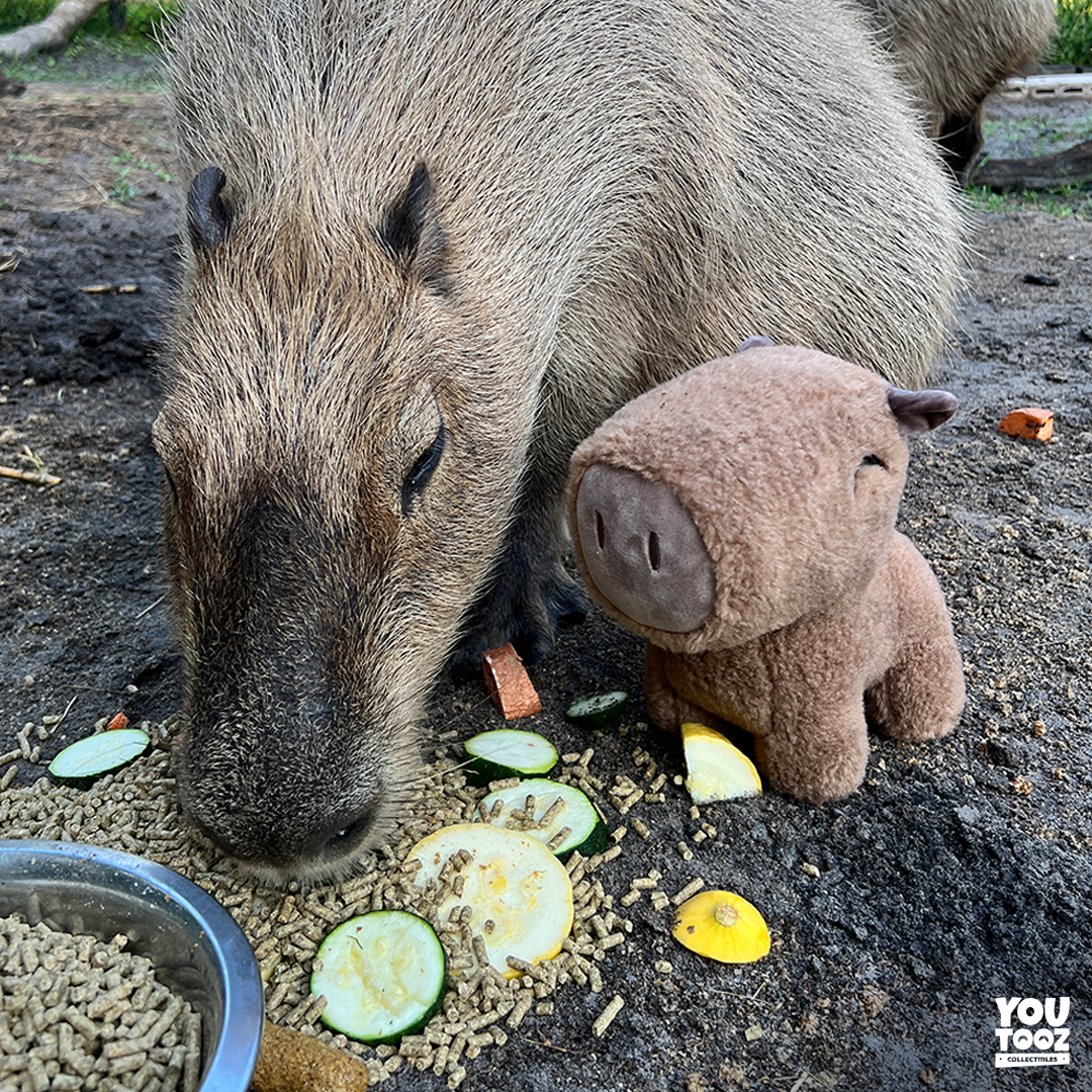 Capybara Plush (9in)