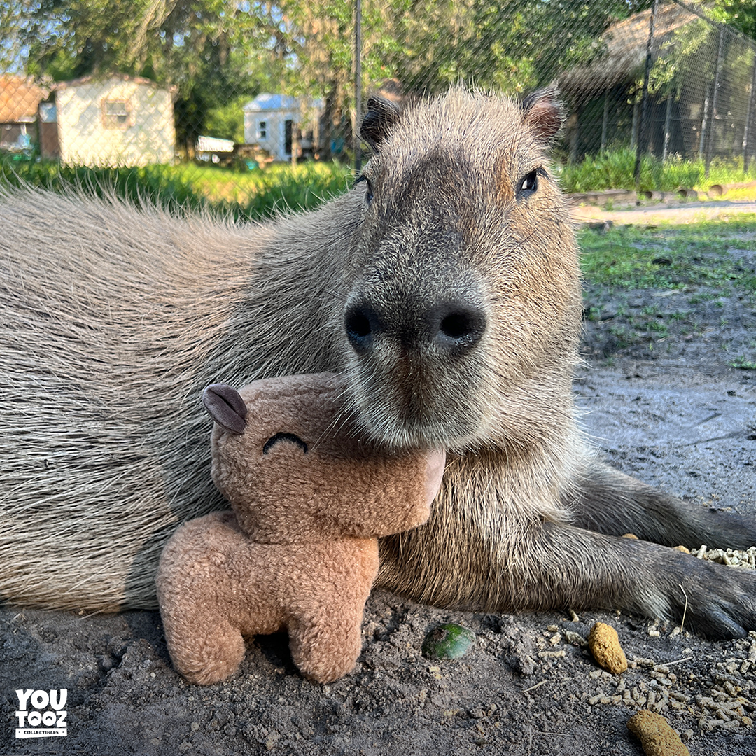 Capybara Plush (9in)
