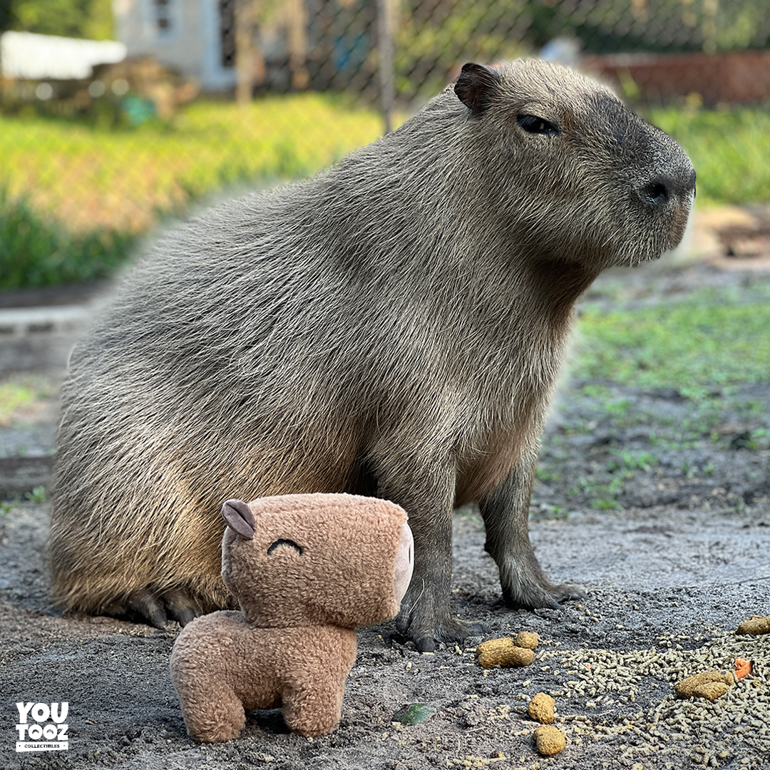 Capybara Plush (9in)