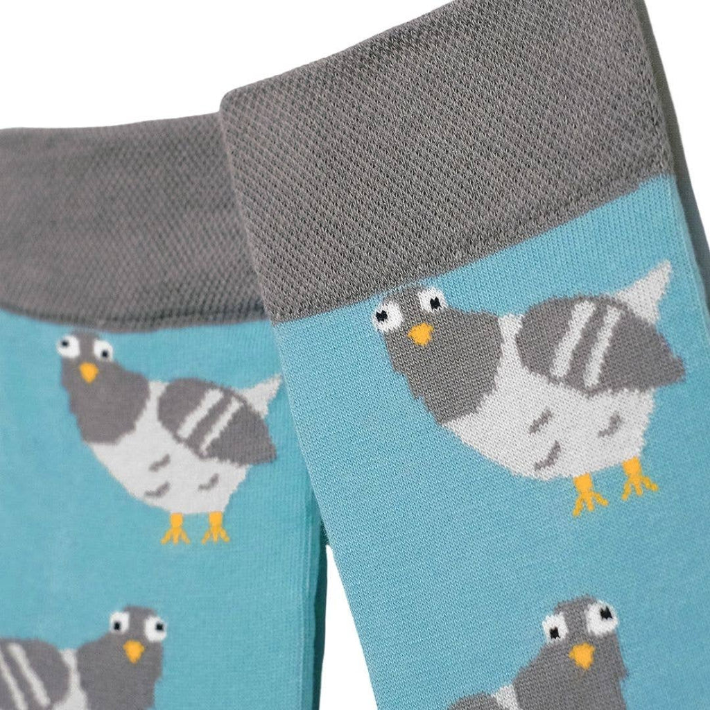 Chaussettes – Claude le pigeon