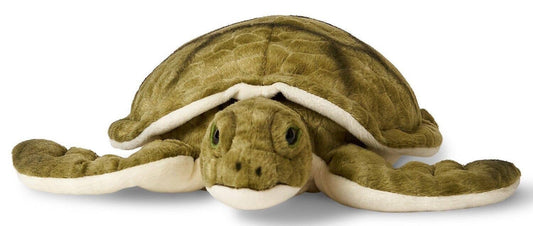 Green Sea Turtle Plush