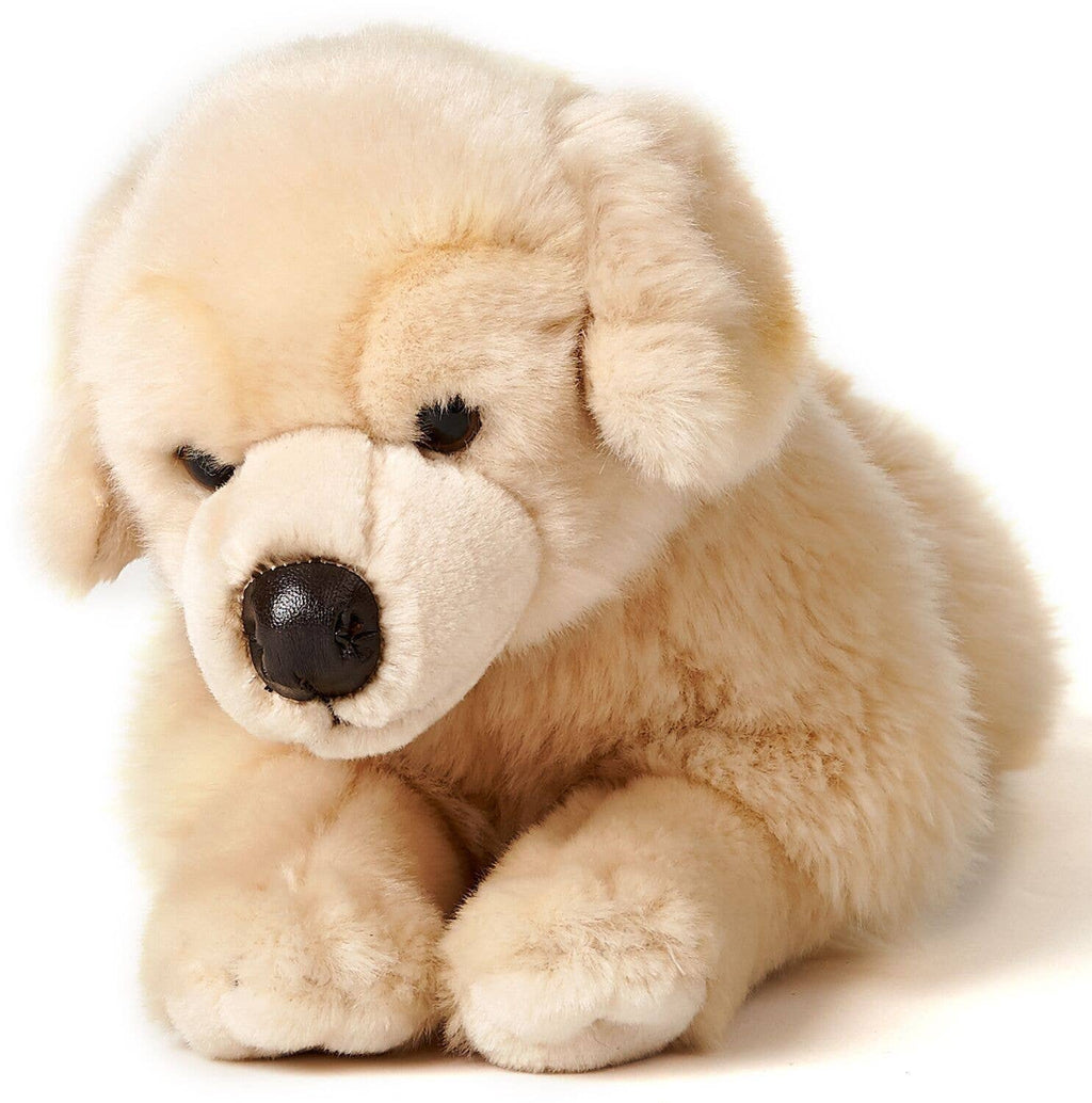 Peluche golden retriever couché Uni Toys