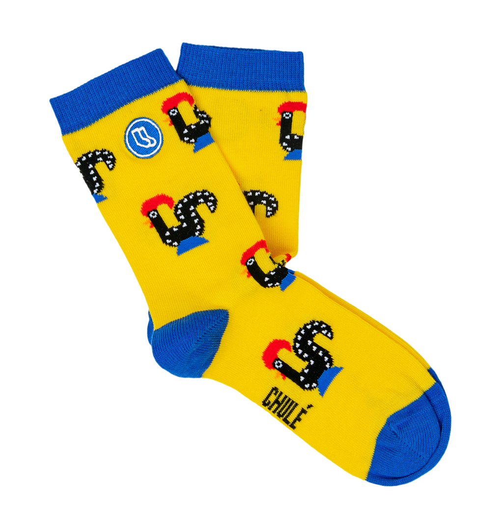 Chaussettes Enfant « Coqs » - Chulé